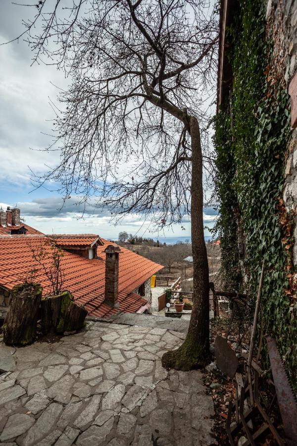 Arxontiko Agonari Hotel Metamorfosi  Buitenkant foto