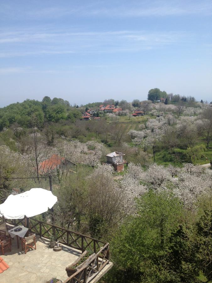 Arxontiko Agonari Hotel Metamorfosi  Buitenkant foto